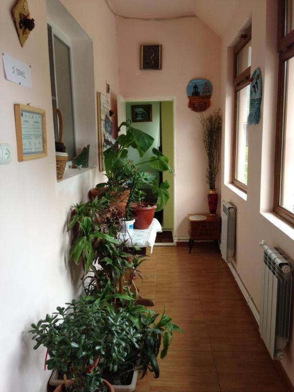 IRIS B&B in DEBED CANYON Alawerdi Exterior foto