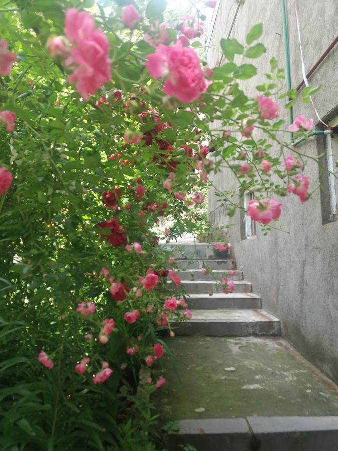 IRIS B&B in DEBED CANYON Alawerdi Exterior foto